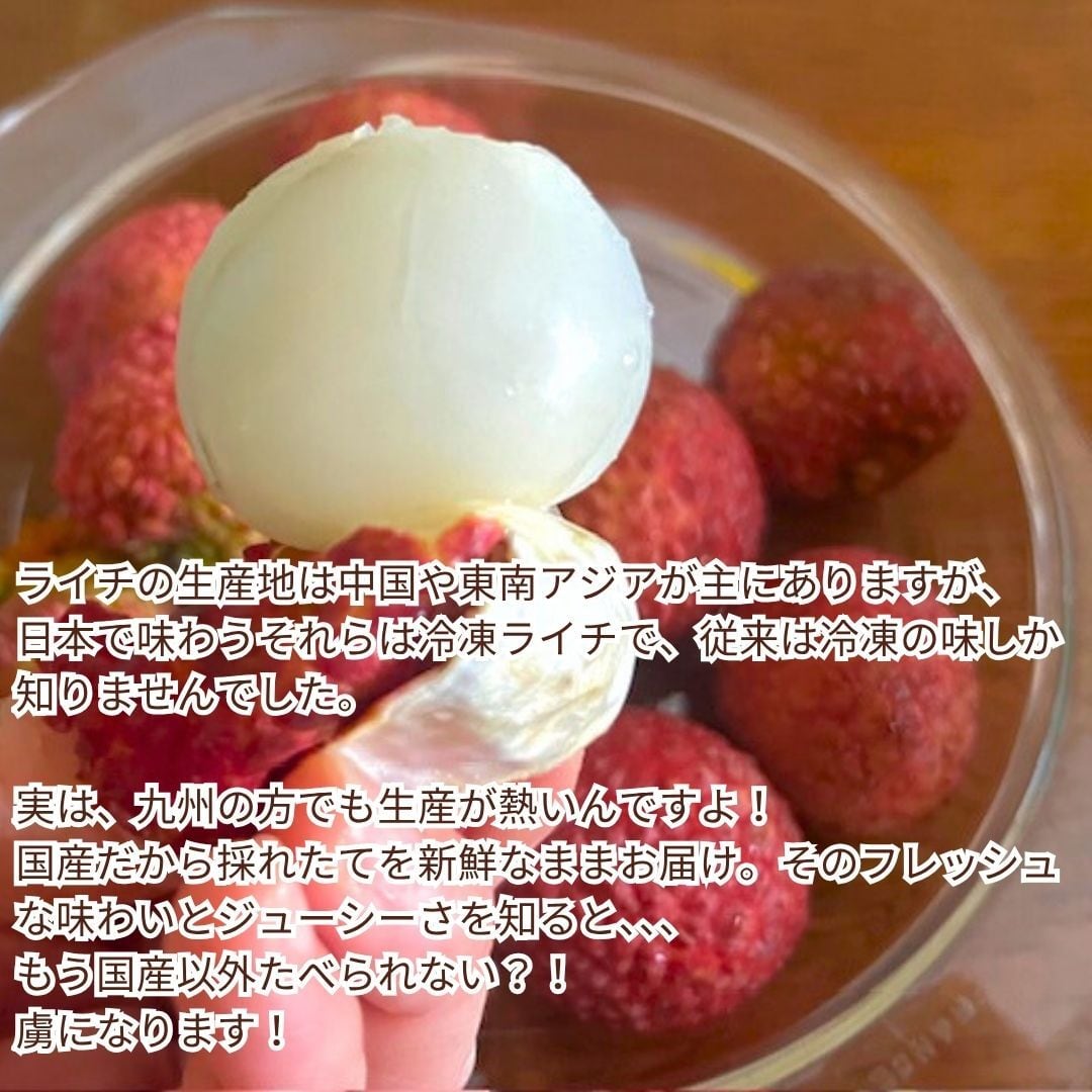 夏の贅沢デザート！ 希少厳選品 柴田農園の芳醇 ライチ 12個入り【数量