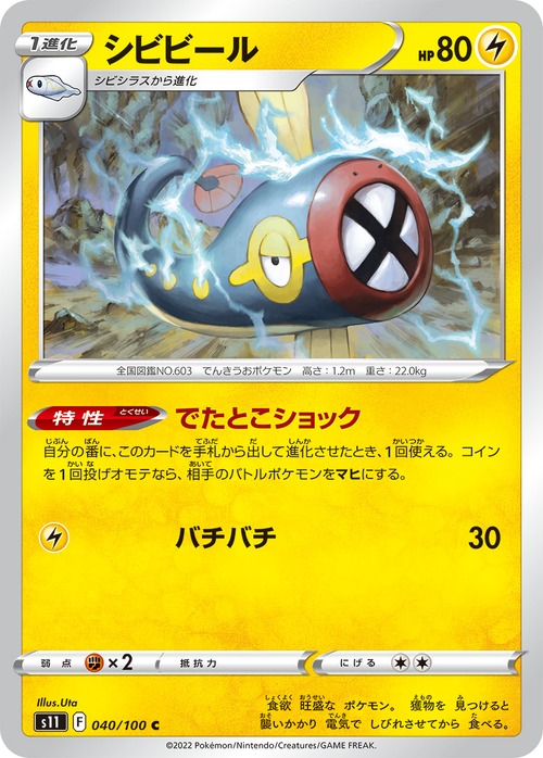 シビビール s11 040/100