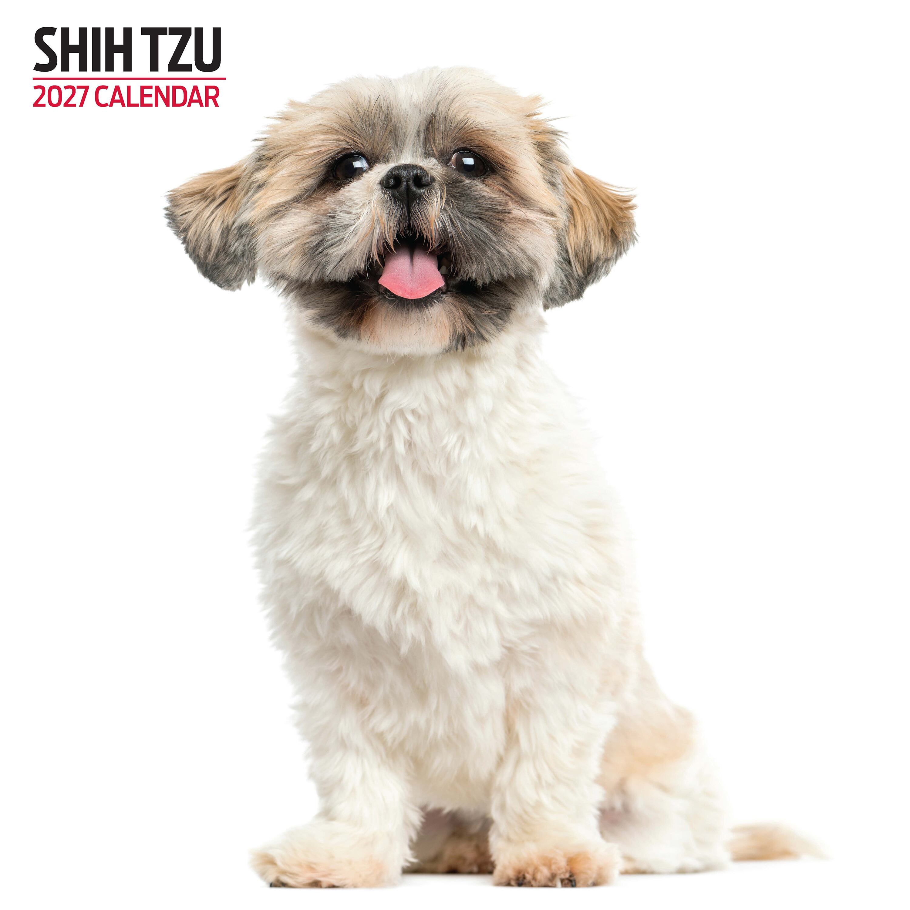 【2027年版】英国製犬種カレンダー【シー・ズー】 Modern 2027年版