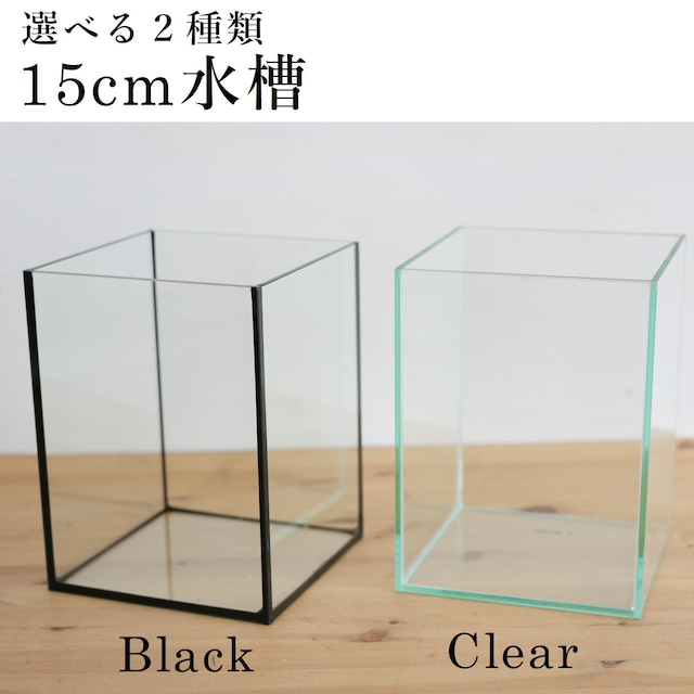 【ガラス容器・選べる２種類】 苔テラリウム用 15cmガラス水槽 （150ｘ150ｘｈ200mm）