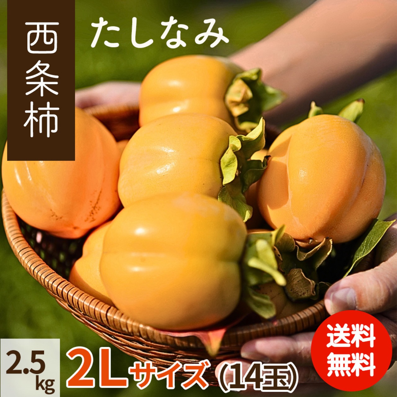 【2025年産】【11月発送】西条柿 2L 14玉（2.5ｋｇ）たしなみ