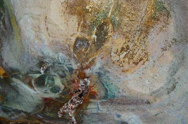 マダガスカル産ペトリファイドウッド Petrified Wood 2029