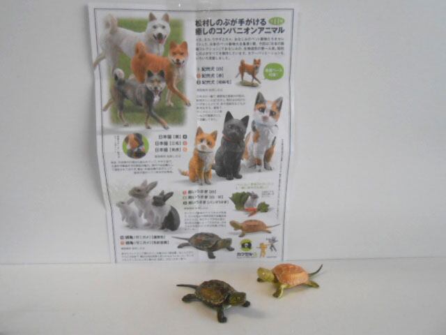 ♯Gyi16OjネイチャーMONOミドリガメストラップマグネットフル8種