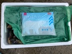■飯干様 ご予約商品「11月26日 16時～18時」1箱：10kg入り【釣り餌用 ムール貝】Mサイズ商品 7