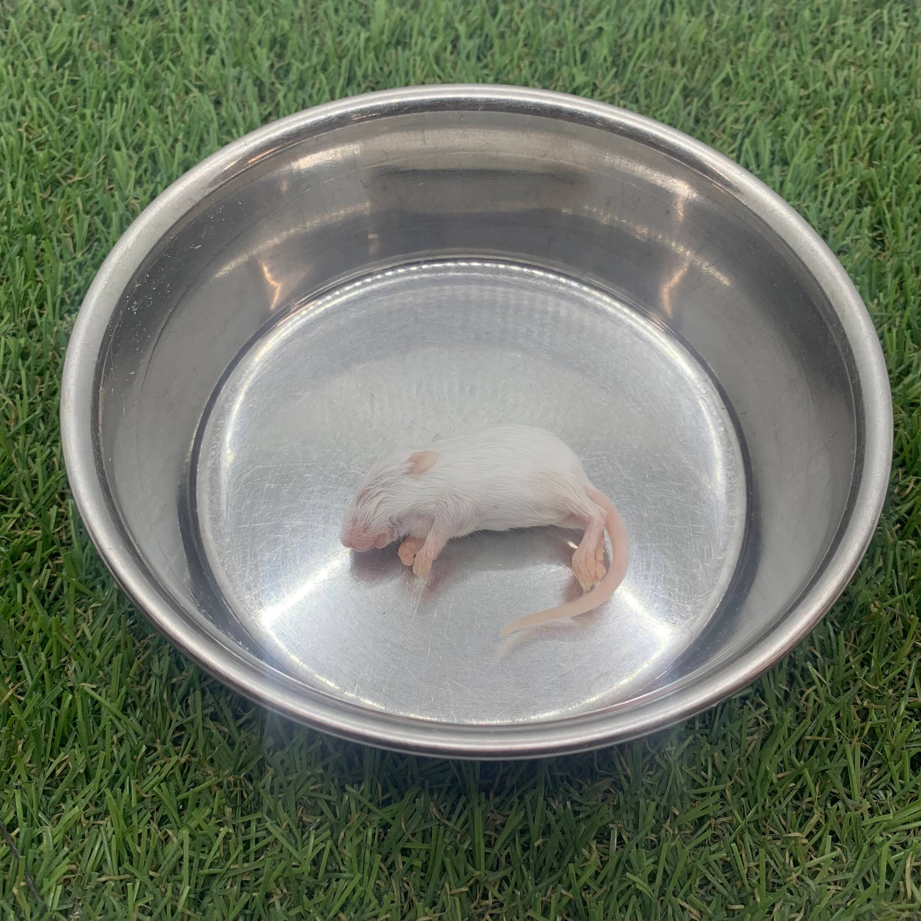 山岸哲也様　M (エ、水、シェ×2) 山岸哲也様M (エ、水、シェ×2)