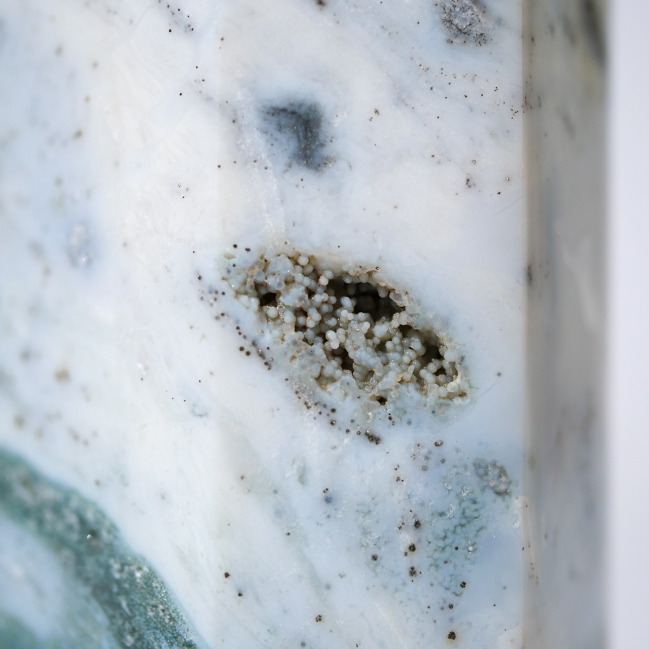 《outlet》オーシャンジャスパー / タワー