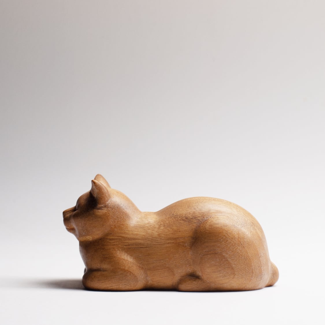 香箱座り猫 20251108 catloaf 20251108 | スギサキ彫刻工房