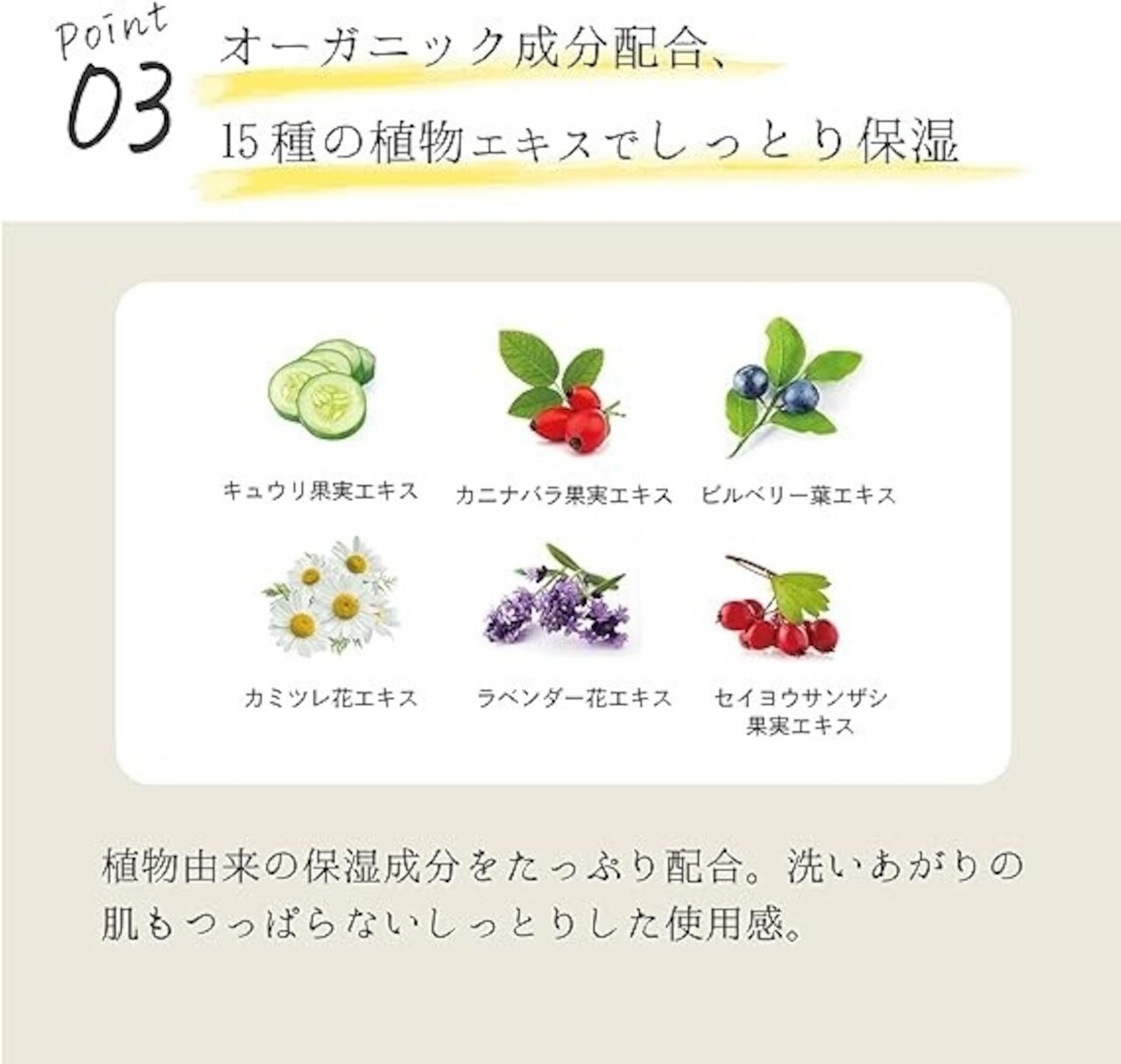 【お得な3ヵ月定期便】EPIS ローションセラム、フェイスウォッシュセット(シャントリサシェ付)|オーガニック 化粧水 美容液乳液 高保湿スキンケア 日本製