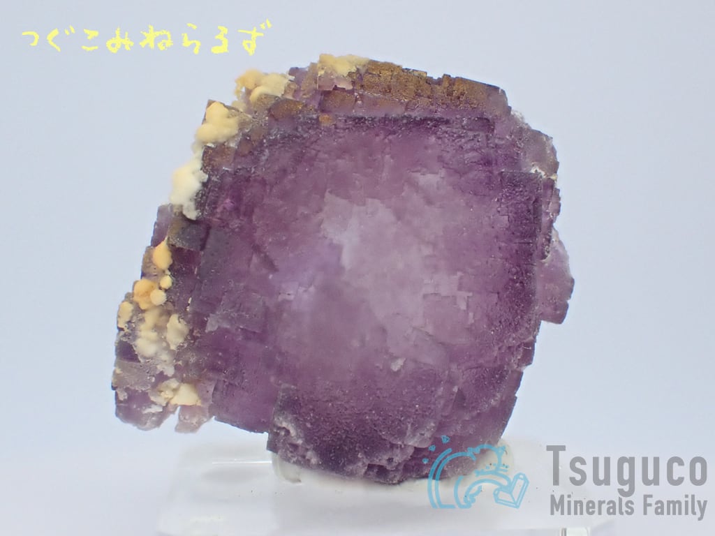 フローライト 蛍石 Fluorite スペイン TM-0003