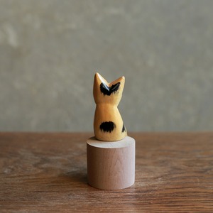 ちょこんと切り株に座る、休憩中のネコ 1