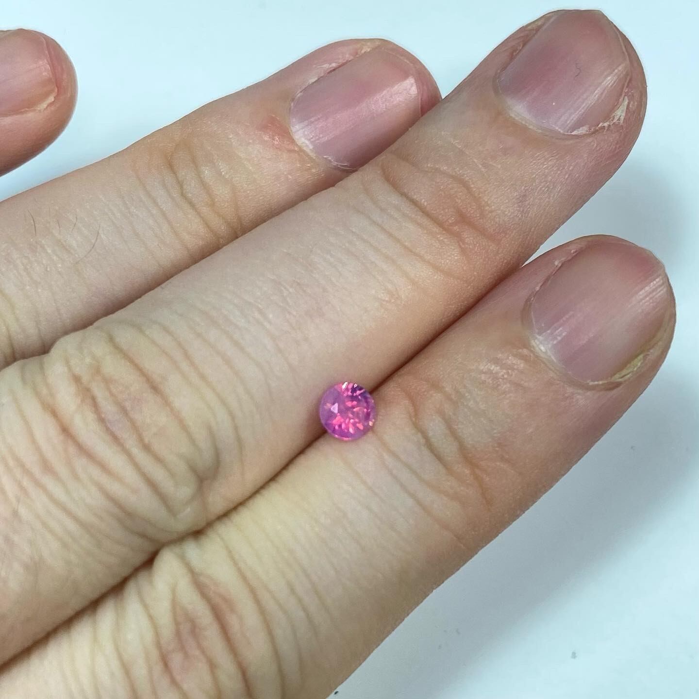 カトレア サファイア