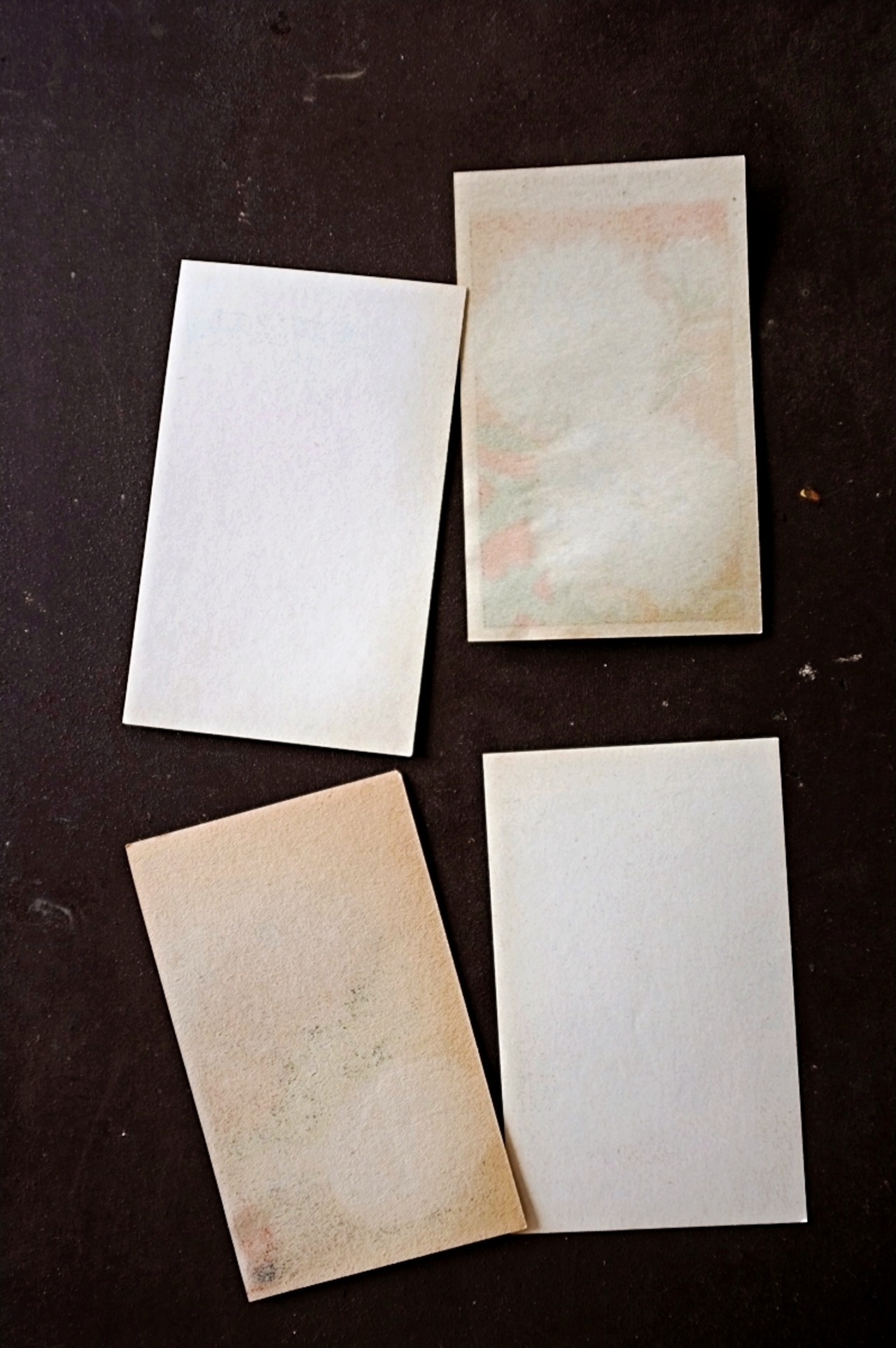 20s フランス 4set 膨満な花々と野菜たち 種子袋用ラベルi アンティーク