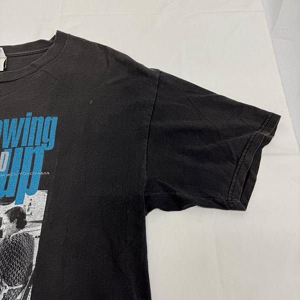 96年製 HI-STANDARD Growing up US-Tour Tee L | Used&Vintage リアクロ