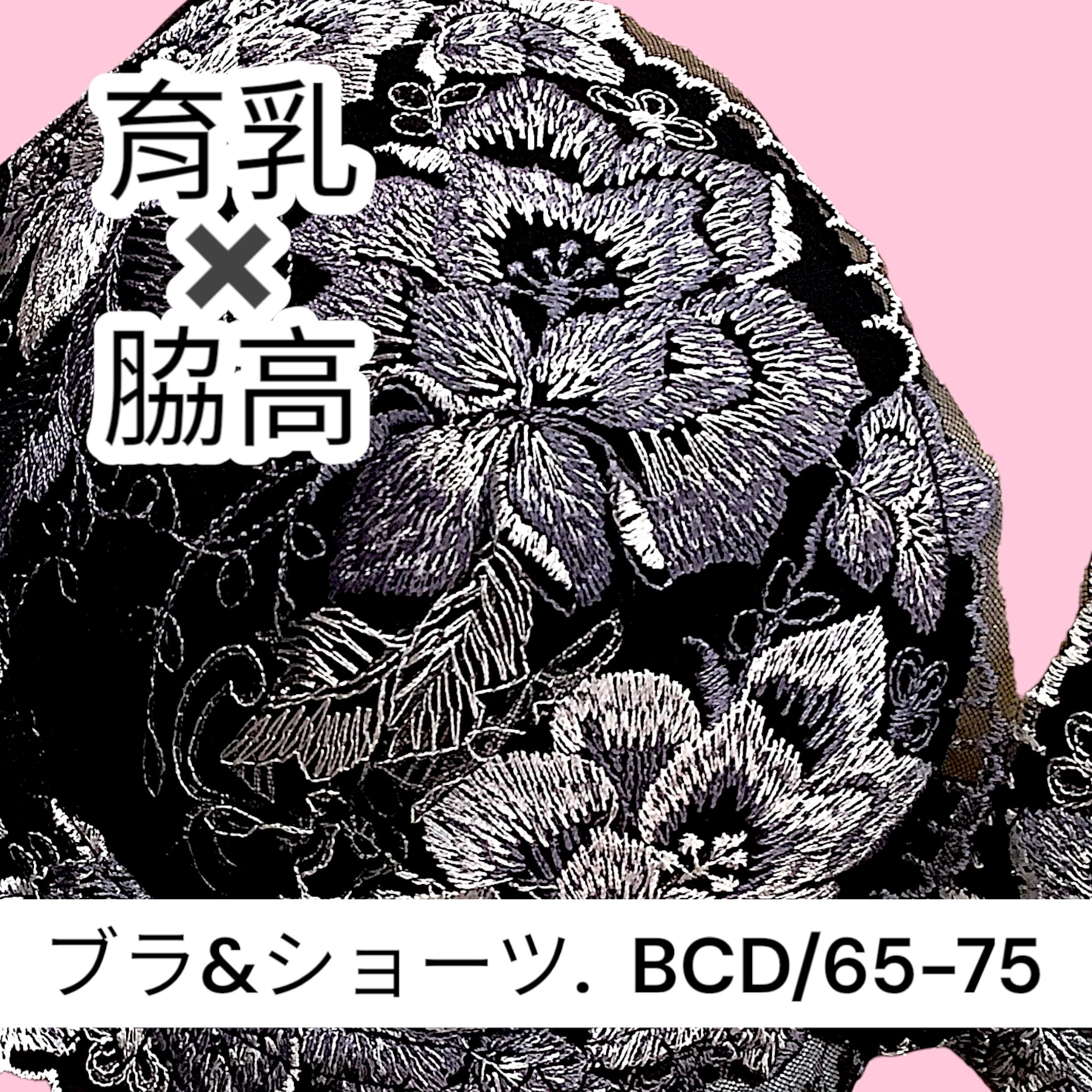 k-BC【3619black】ブラ&ショーツセット 大柄のバラ刺繡