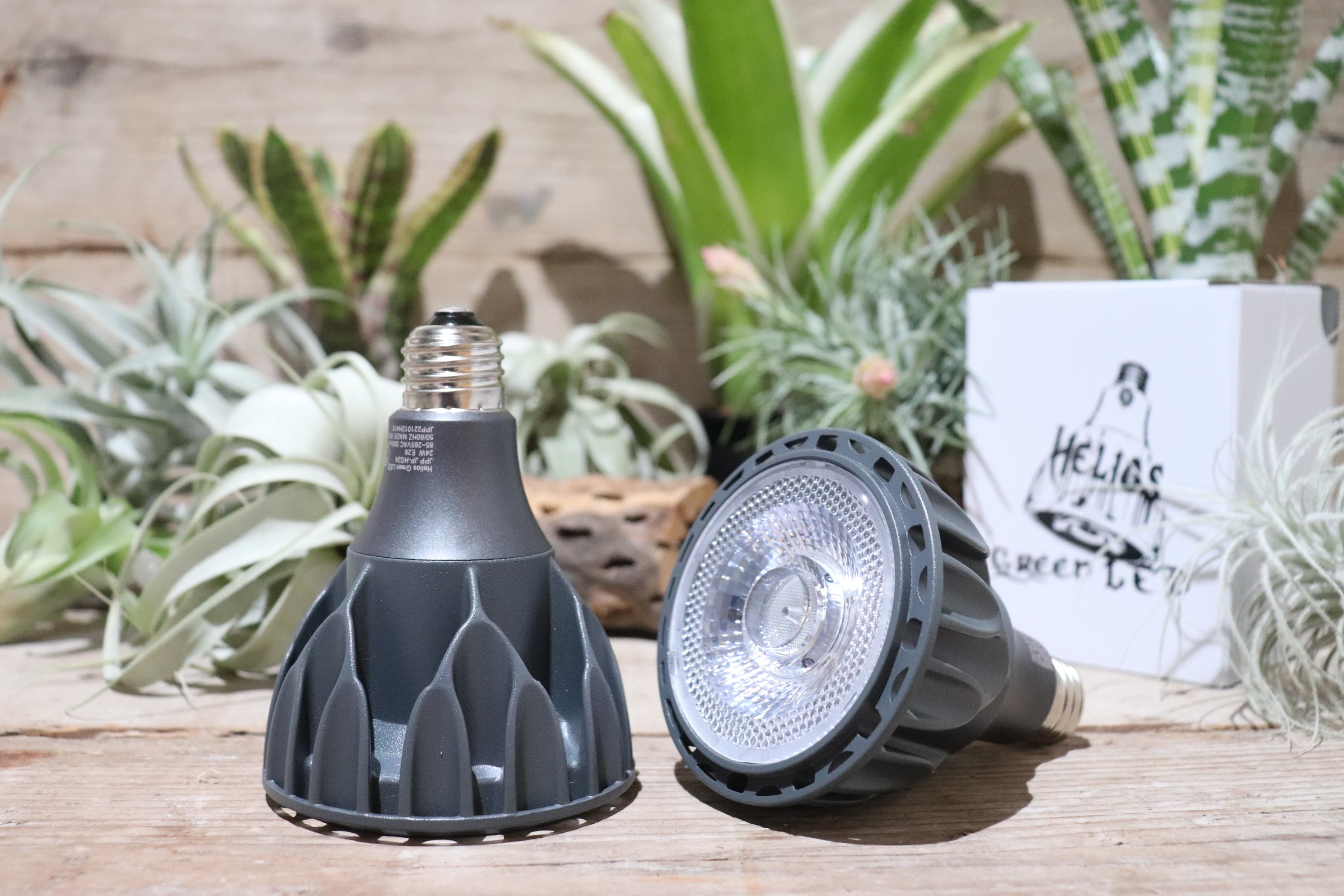 送料無料】Helios Green LED HG24 / Black [広角レンズ付] | plane plants