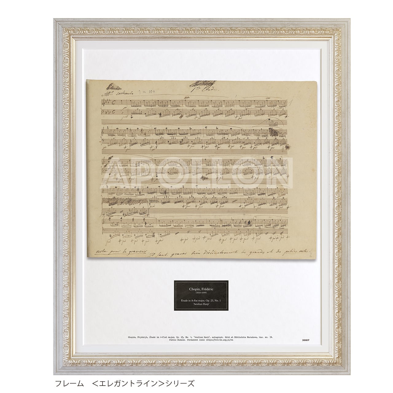 自家製絵の具Apple Green Fine ハーフパン 自家製絵の具Apple Green Fine ハーフパン 自家製絵の具Apple Green