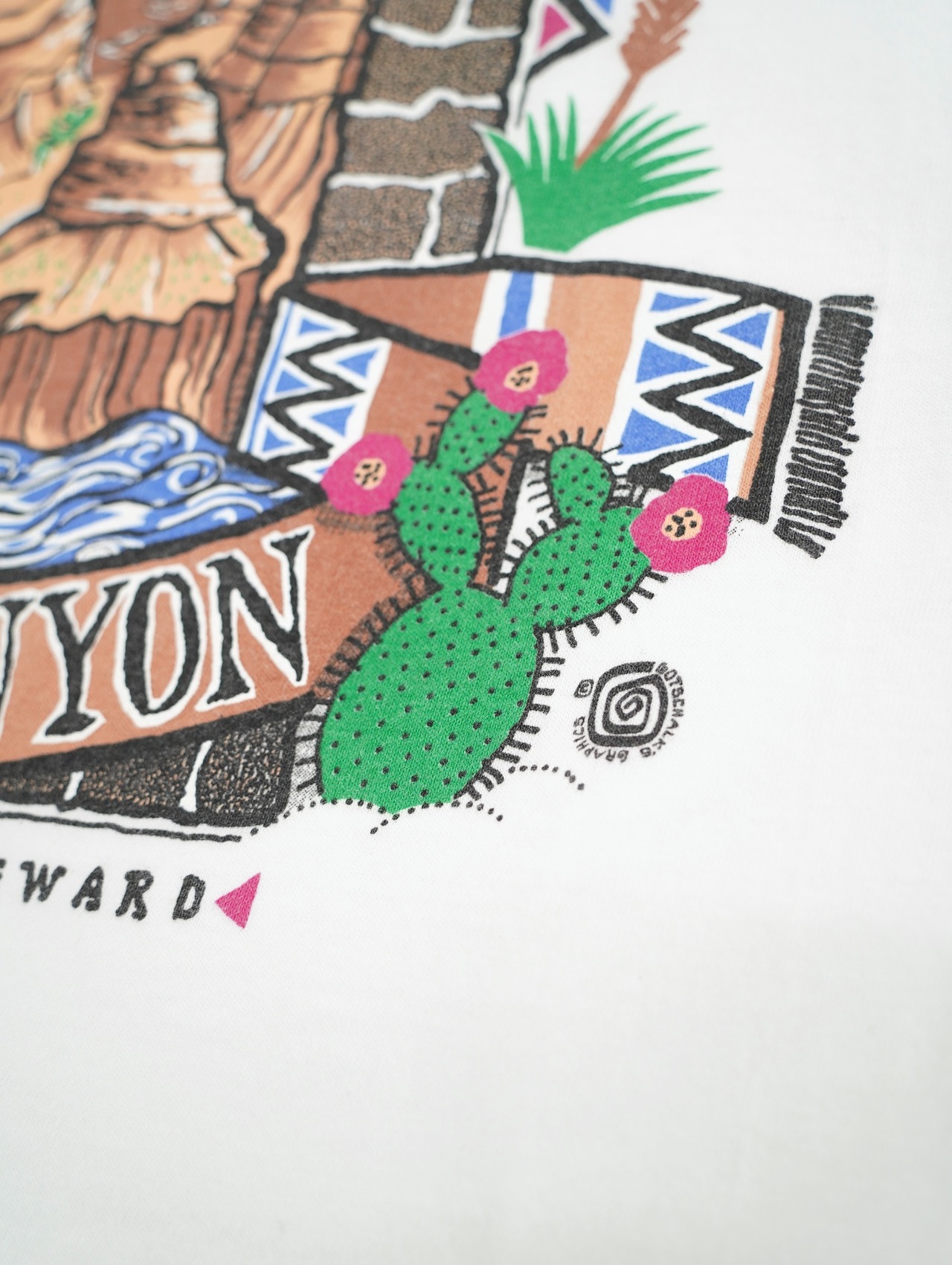 90s grand canyon tee