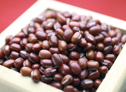 JA上士幌町 小豆(生豆)500g ※2024年産 | 十勝かみしほろん市場