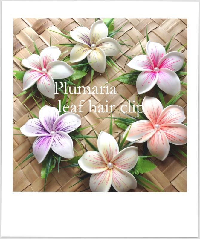 フラグッズ | &.Aloha あんど.あろは Hawaiizakka Select shop