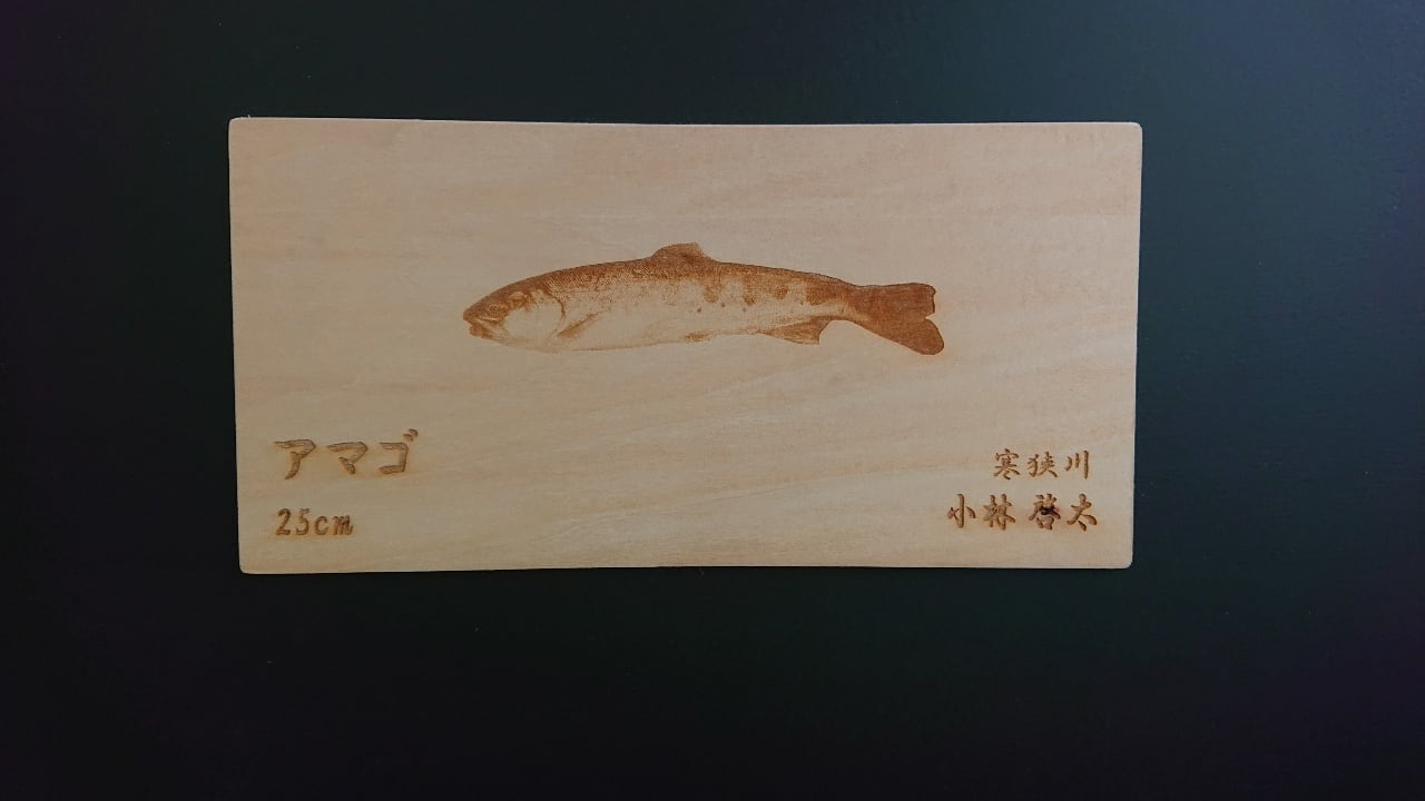 小・薄サイズ】シナベニヤ製 オリジナル魚拓【250～450mmの魚に