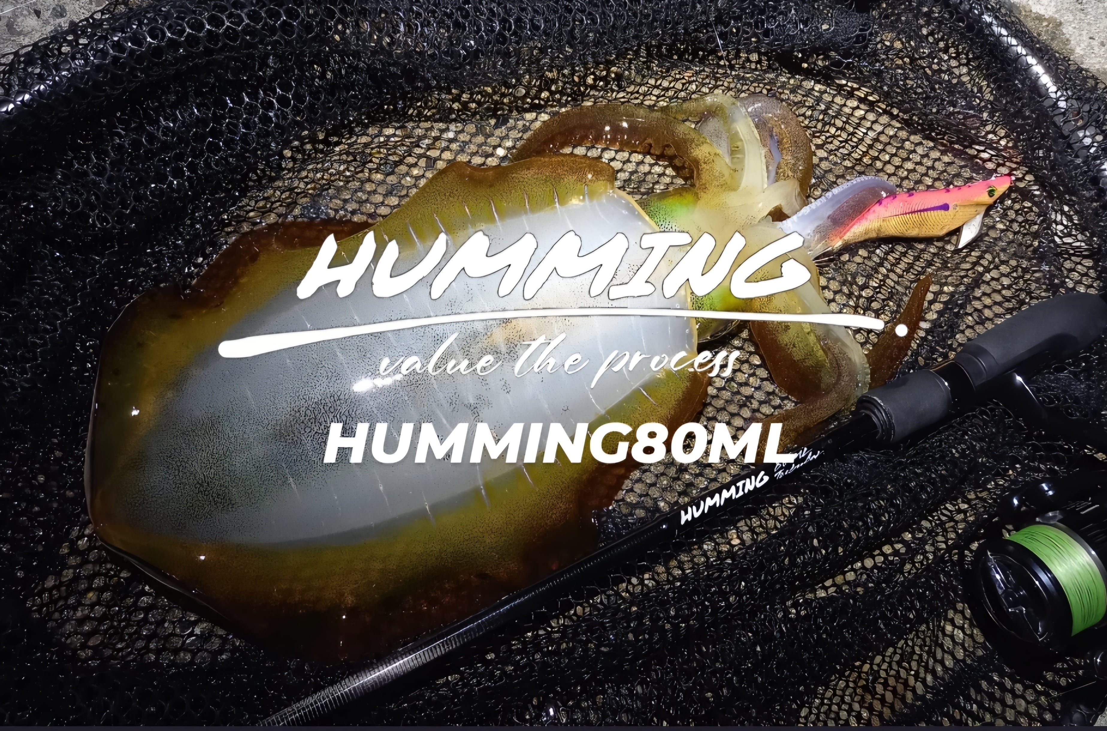 hummingrod