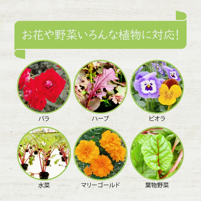 水耕プラグ 15 個