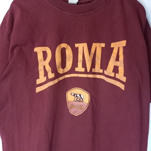 ノーブランド　クルーネック　プリントTシャツ　半袖　ブラウン　FREE SIZE