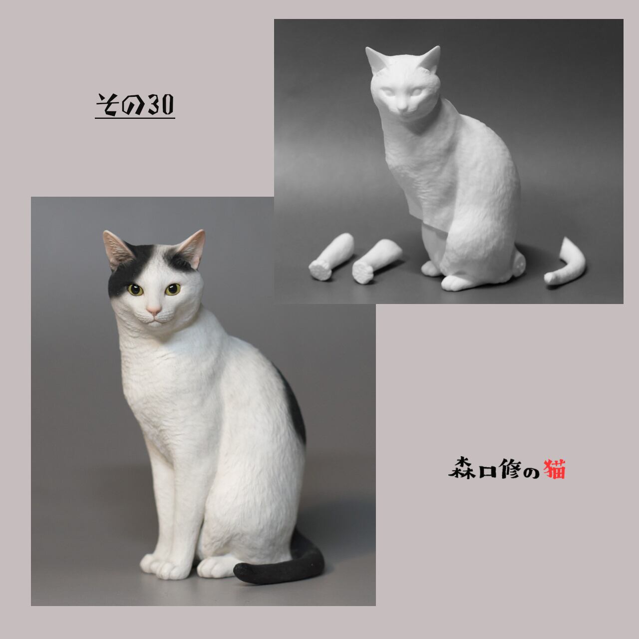 森口修の猫