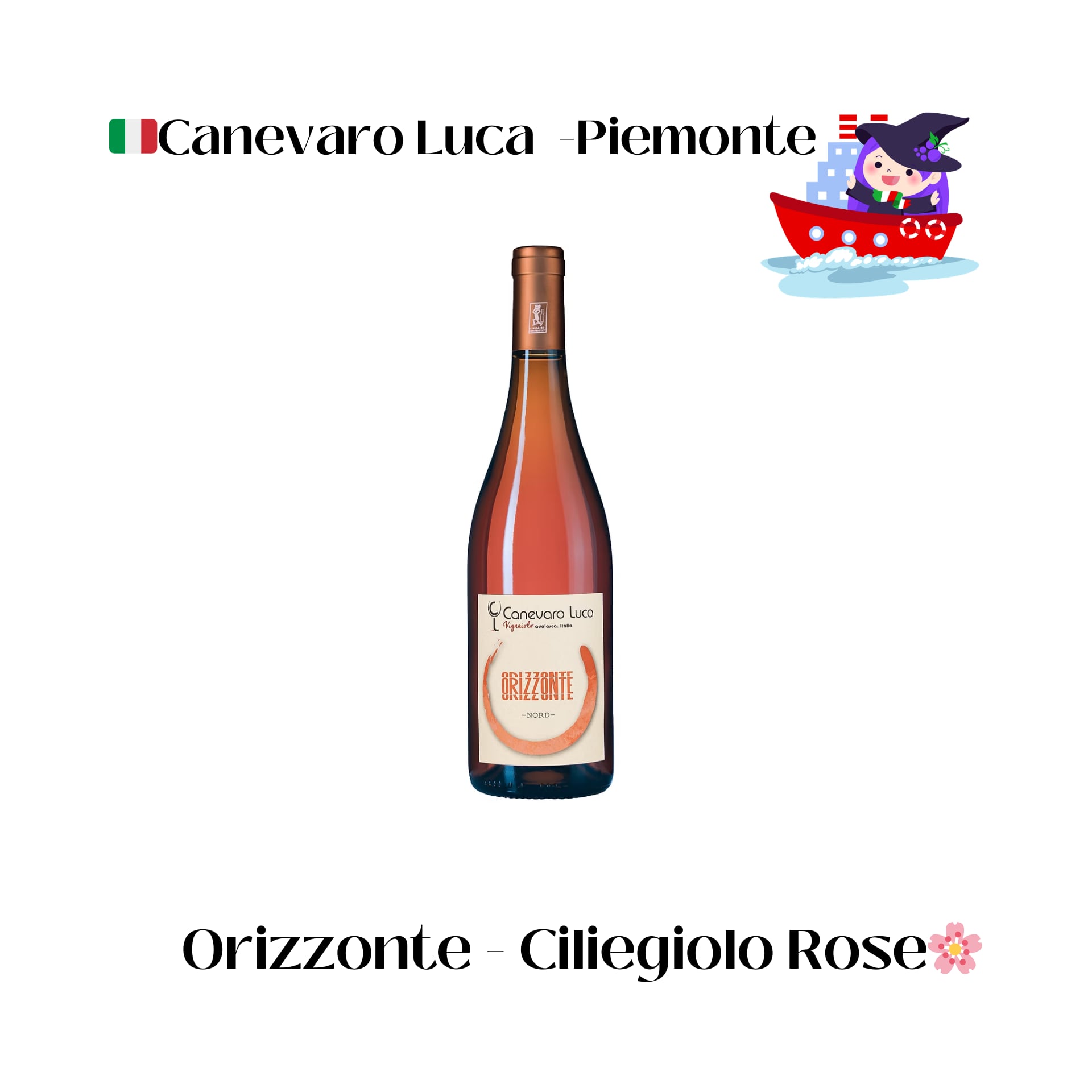 aiVino新規入港コンプリートセット24本