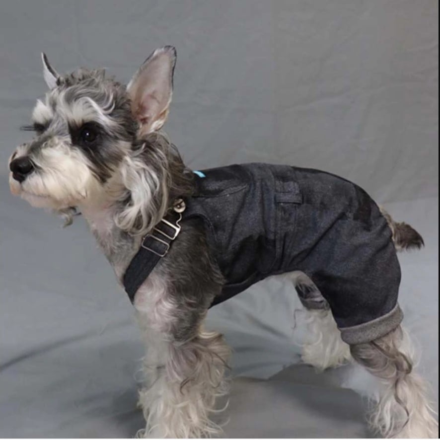 犬服 パンダ デニムサロペットワンピース 見本 CATEGORY ワンピース