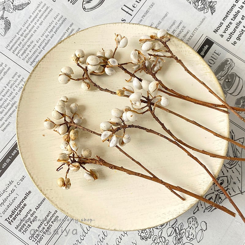 再入荷】 ナンキンハゼ 【ドライフラワー】 | はじめてのドライ  