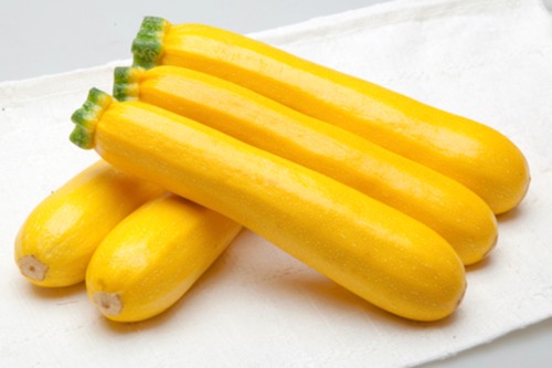 ズッキーニ「イエローボート」（100粒） 画像
