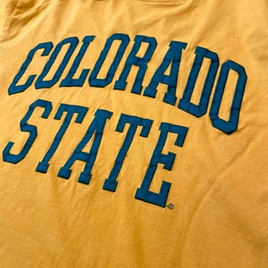 【P2】カレッジ コロラド州立大学 Tシャツ COLORADO STATE アーチロゴ L 刺繍ロゴ 袖ロゴ US古着