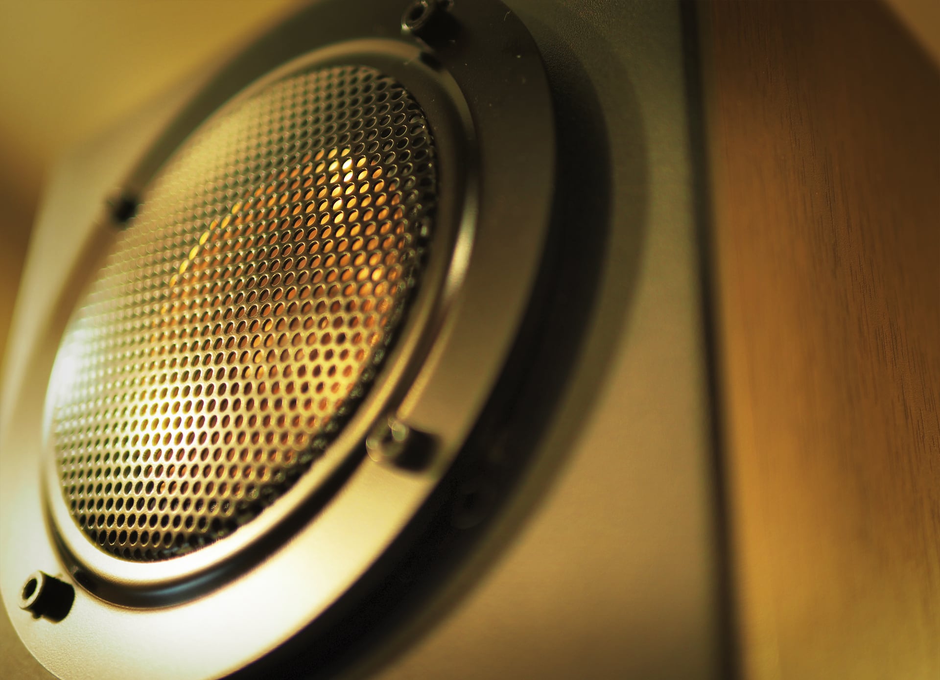 Monitor Speaker / AMATERAS 9012M | AMATERAS SHOP