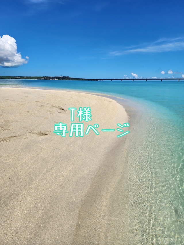 T様専用ページ