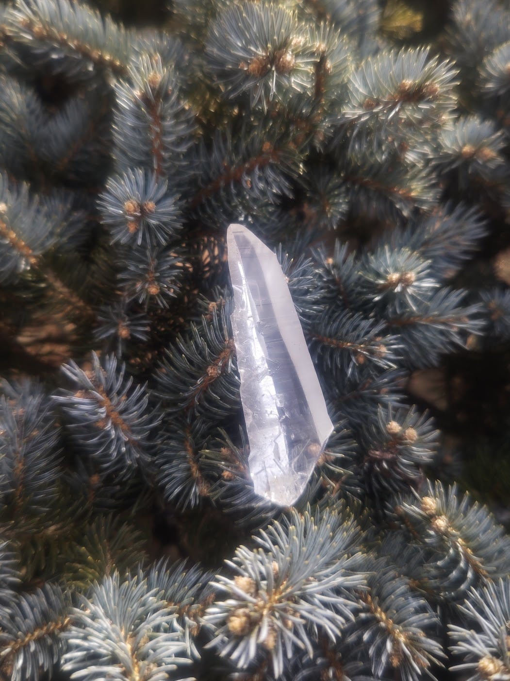 コロンビア水晶｜世界最高峰の透明度を誇るクリスタル | 日賀 Nichika