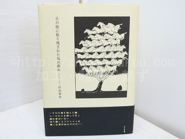 丘の陰に取り残された馬の群れ　/　岸田将幸　　[31588]