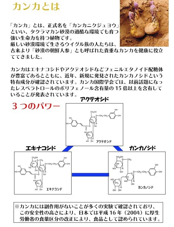 ジンカンカDRINK(10本入) | 日本製薬工業（株）オンラインショップ