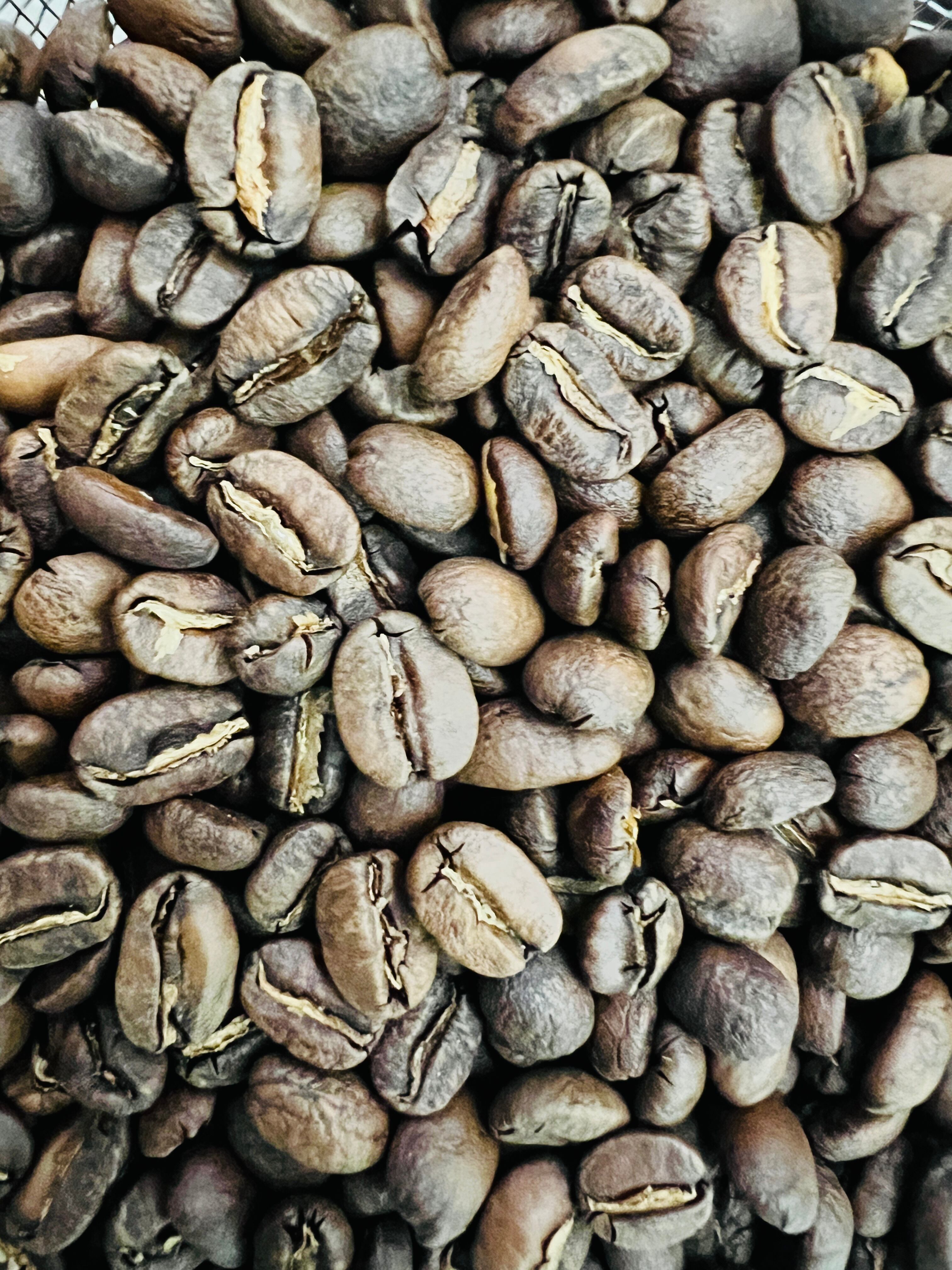 インドネシア ウエスト ジャバ サダヤナ