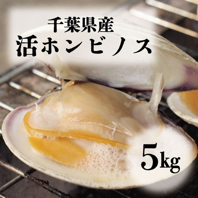 【水揚げ次第発送！活！千葉県産ホンビノス貝！鮮度抜群！5㎏】産地直送 ホンビノス5㎏