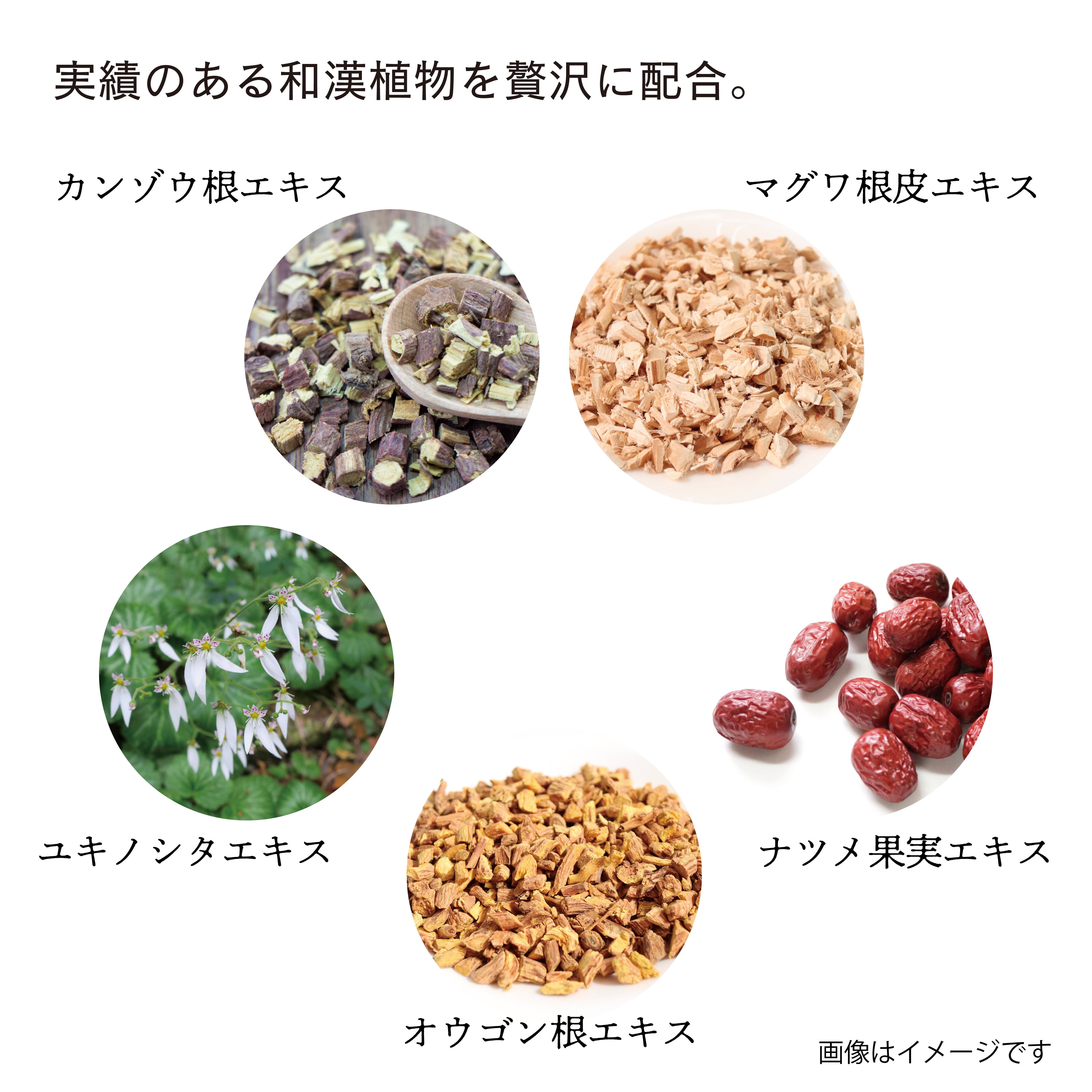 TAEKO リッチローション | ARDOR BRAIN Official Shop