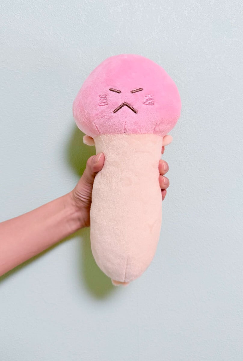 きのっこ　KINOKKOキノコ型ぬいぐるみ　レトロ　平成　昭和 のびーるきのこ君ぬいぐるみ【Stretchy Kinoko-kun】 | がんばれ