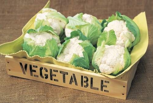 カリフラワー「美星」（2000粒） 画像