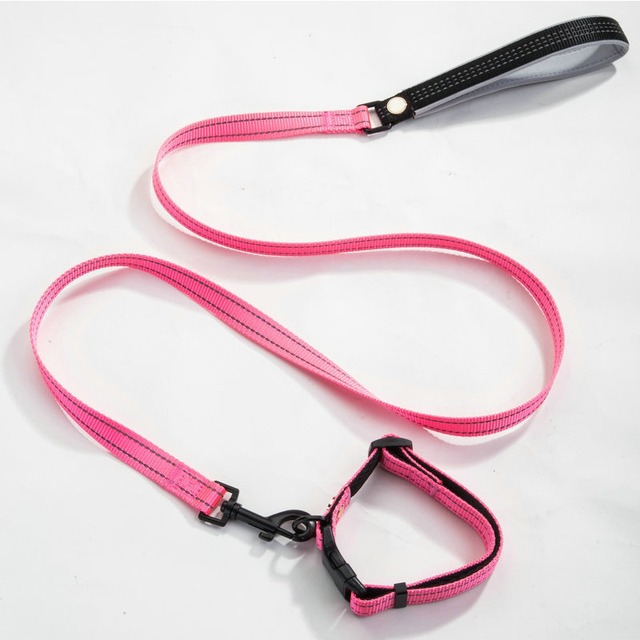 犬用　首輪 と リード セット　首輪&リード　大型犬　中型犬