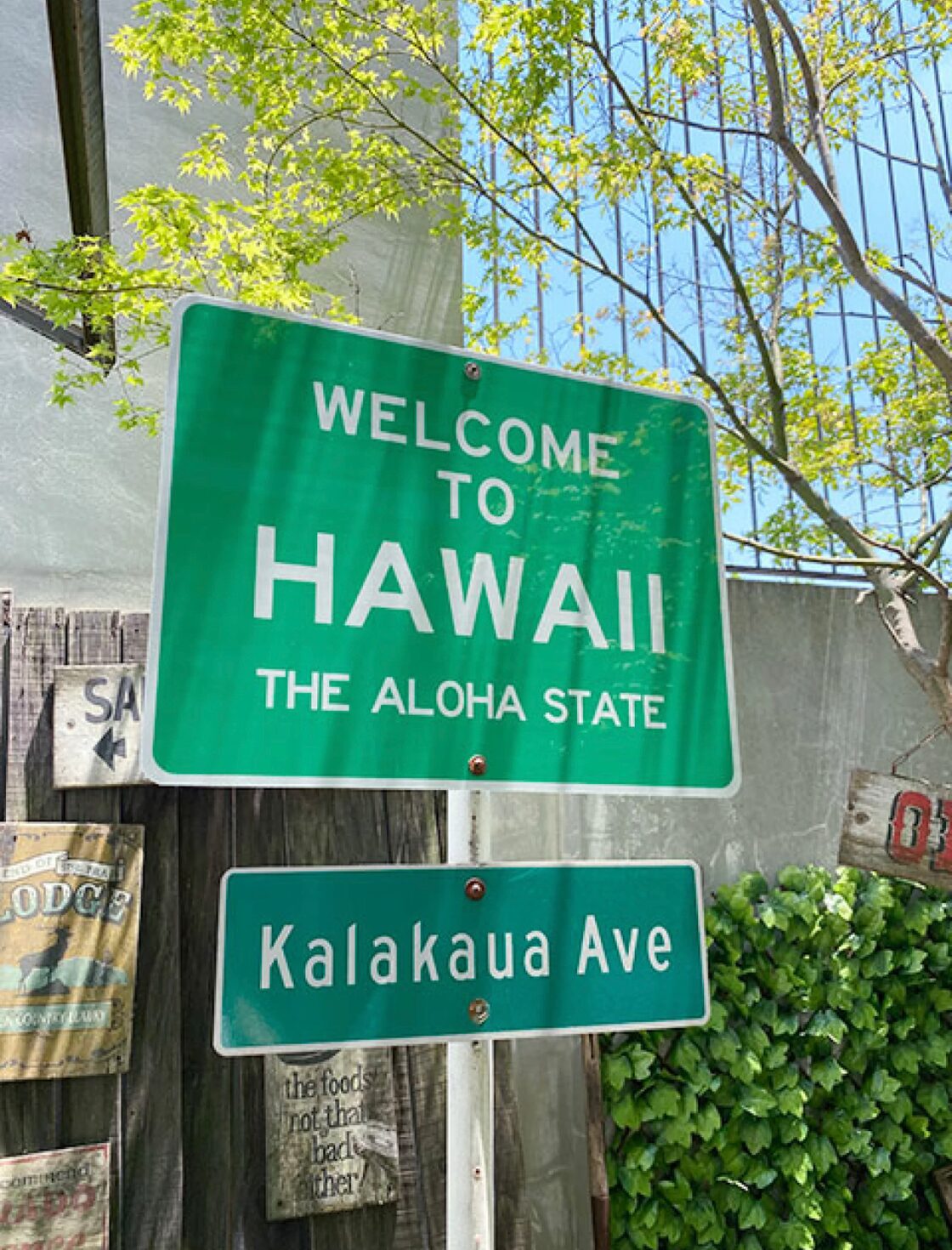 WELCOME TO HAWAII アメリカントラフィックサイン（ウェルカム・トゥ 