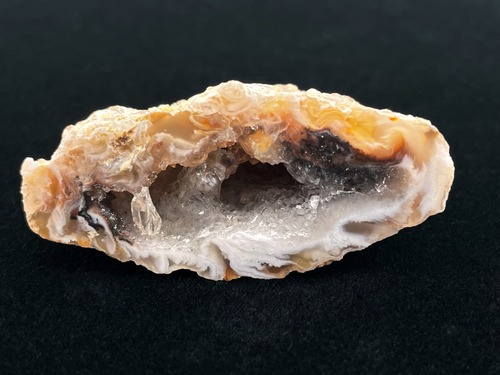 オープンジオード