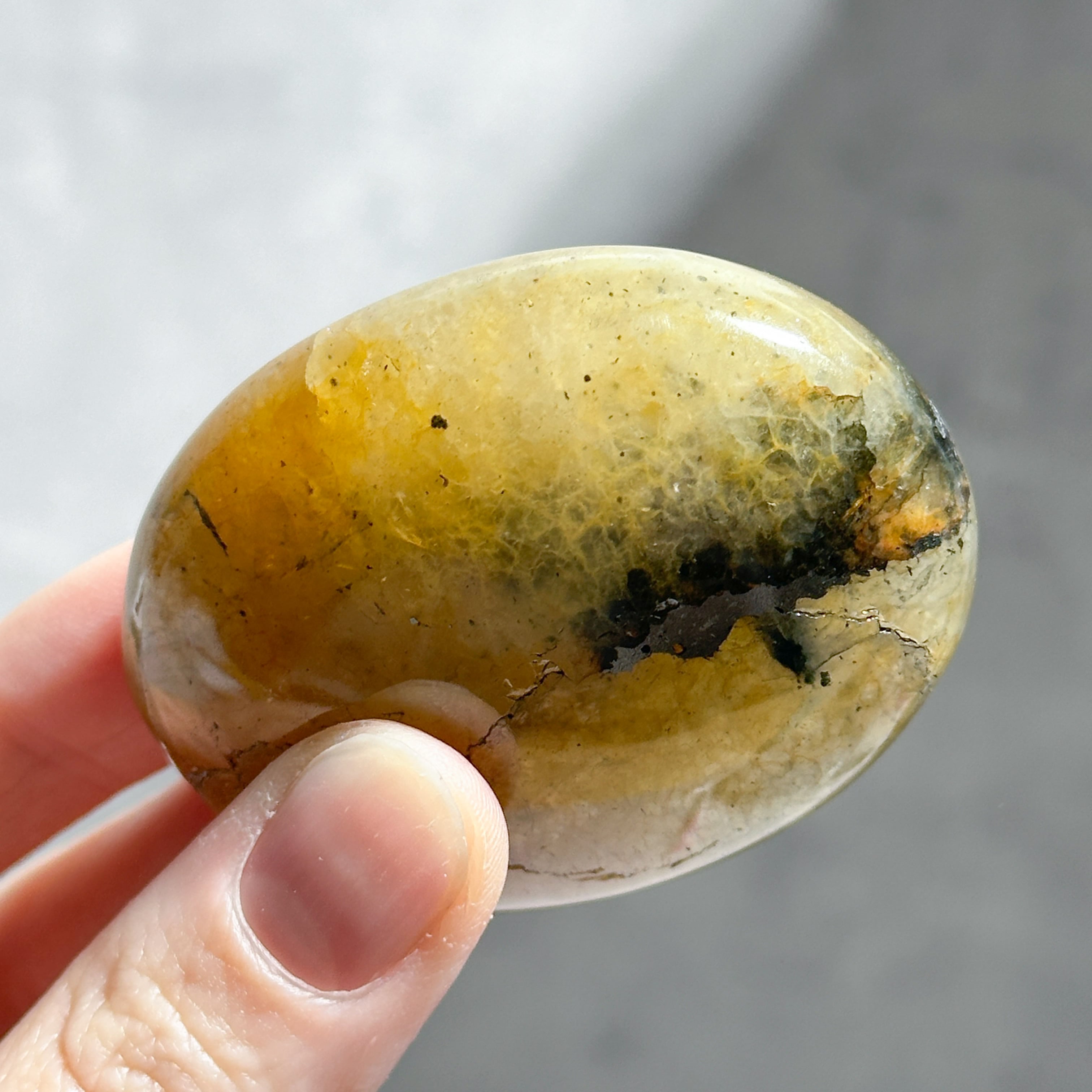 パイライト with クォーツ パーム11 ◇Pyrite with Quartz◇天然石