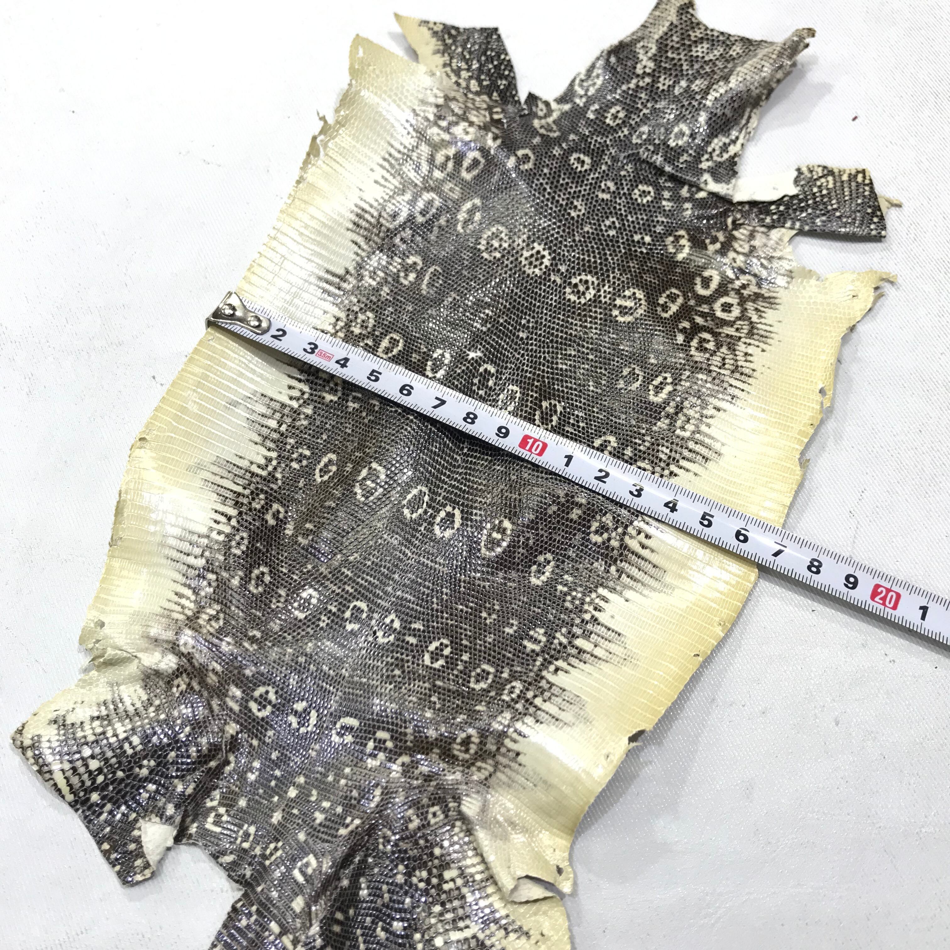 特価!!トカゲ革(リザード革)【オフホワイト】約16㎝幅 ※まとめ買い割引