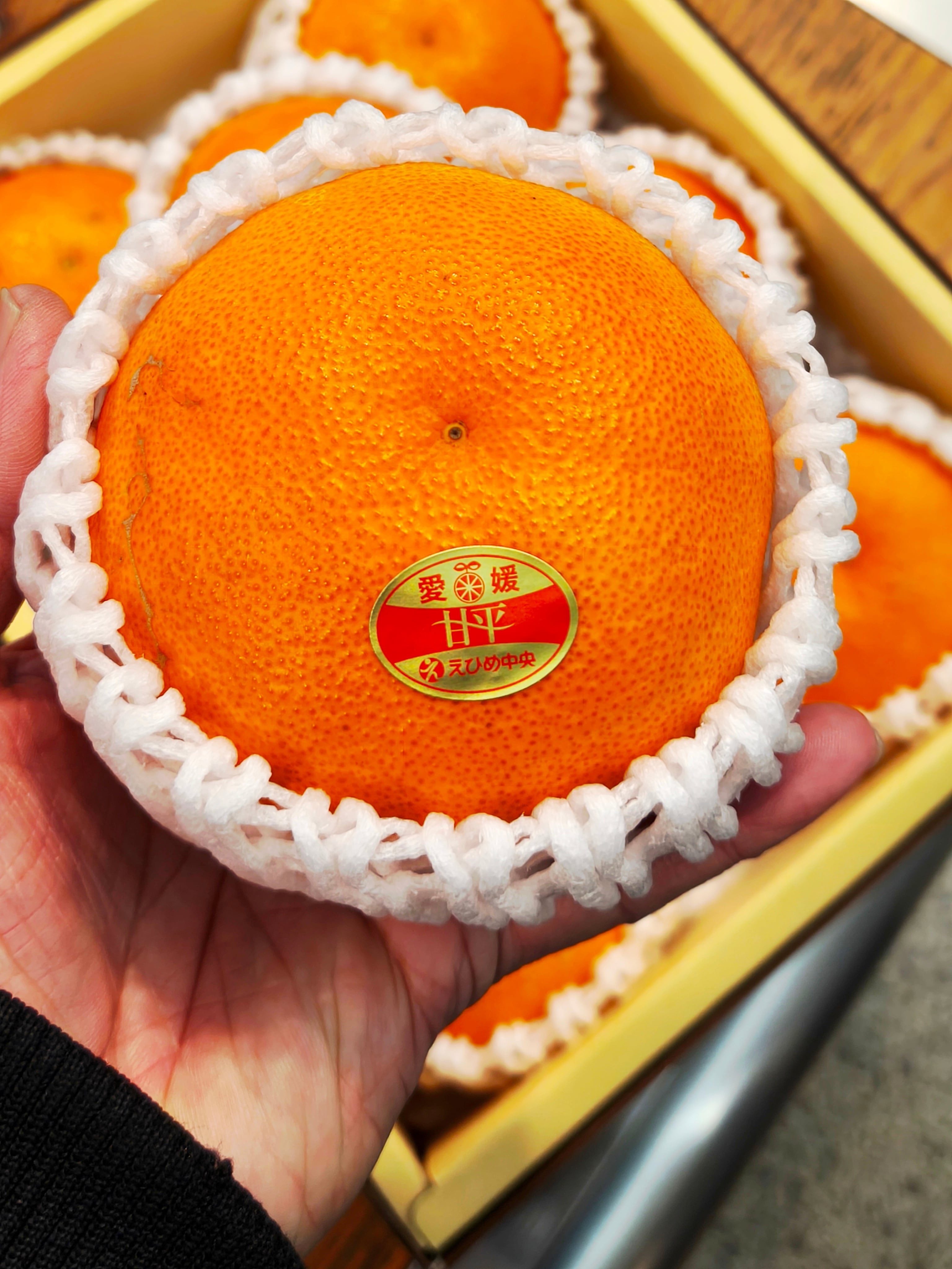 超絶レアなぶどうがやってきた！【美和姫】1房入り初登場です