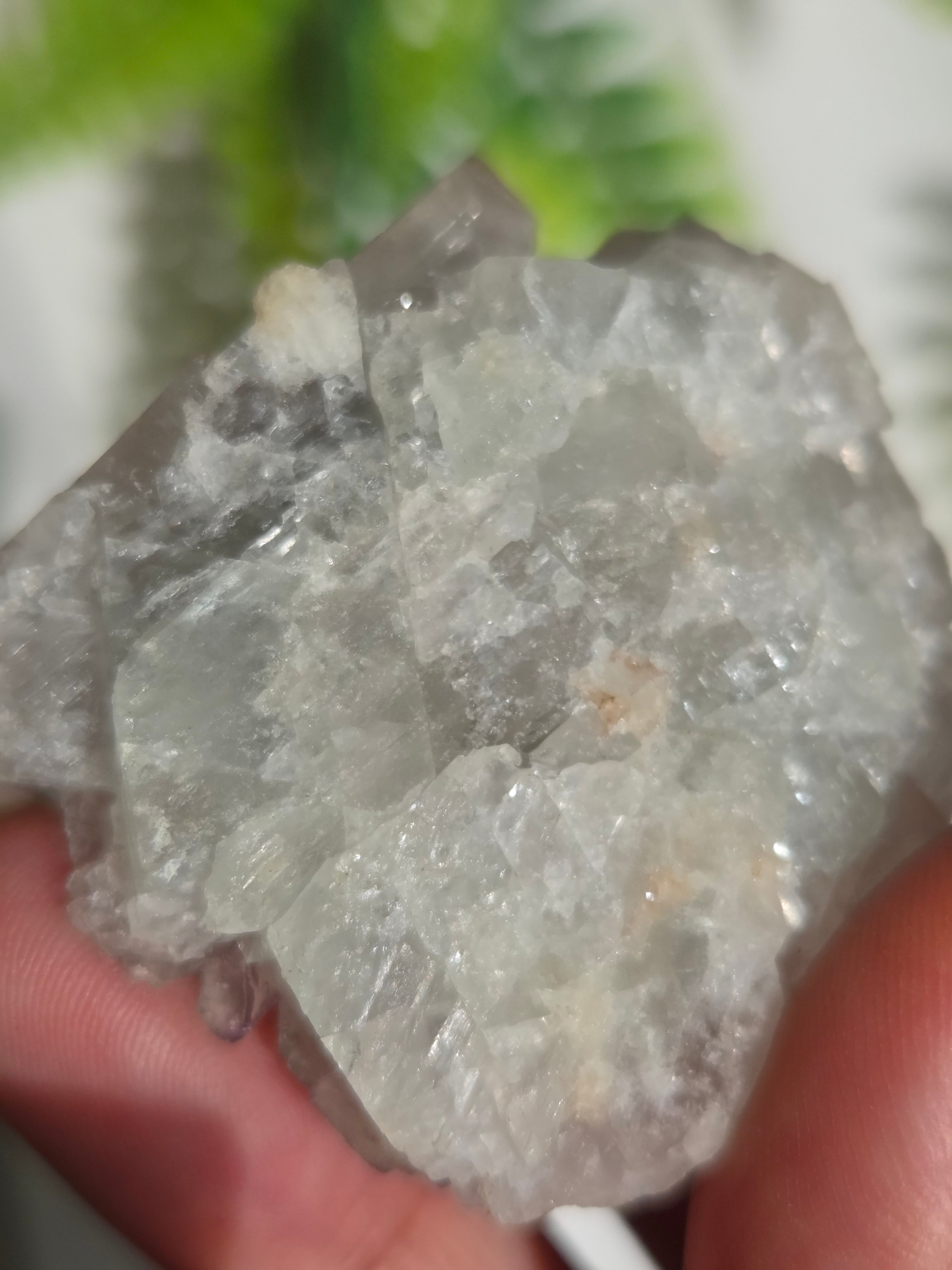 中国貴州省産 QRコードフローライト | Pay ID